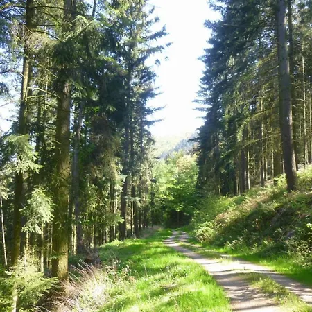 Moselle Idyll